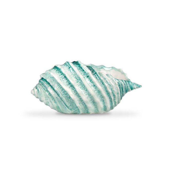 Tiffany shell 20