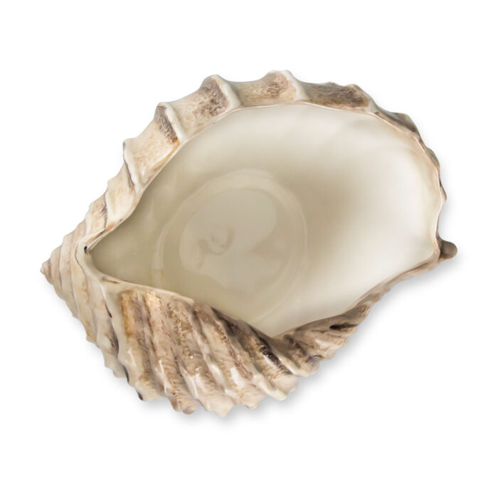 Braune shell 34