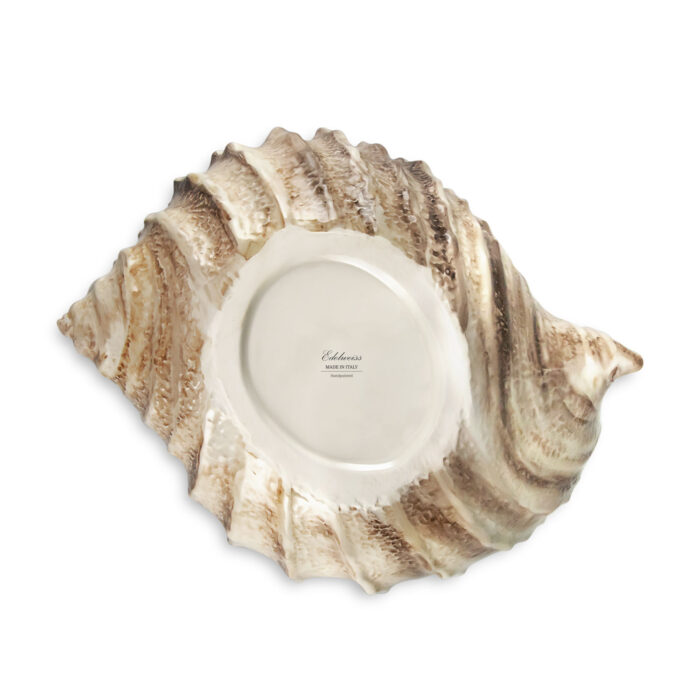 Braune shell 34