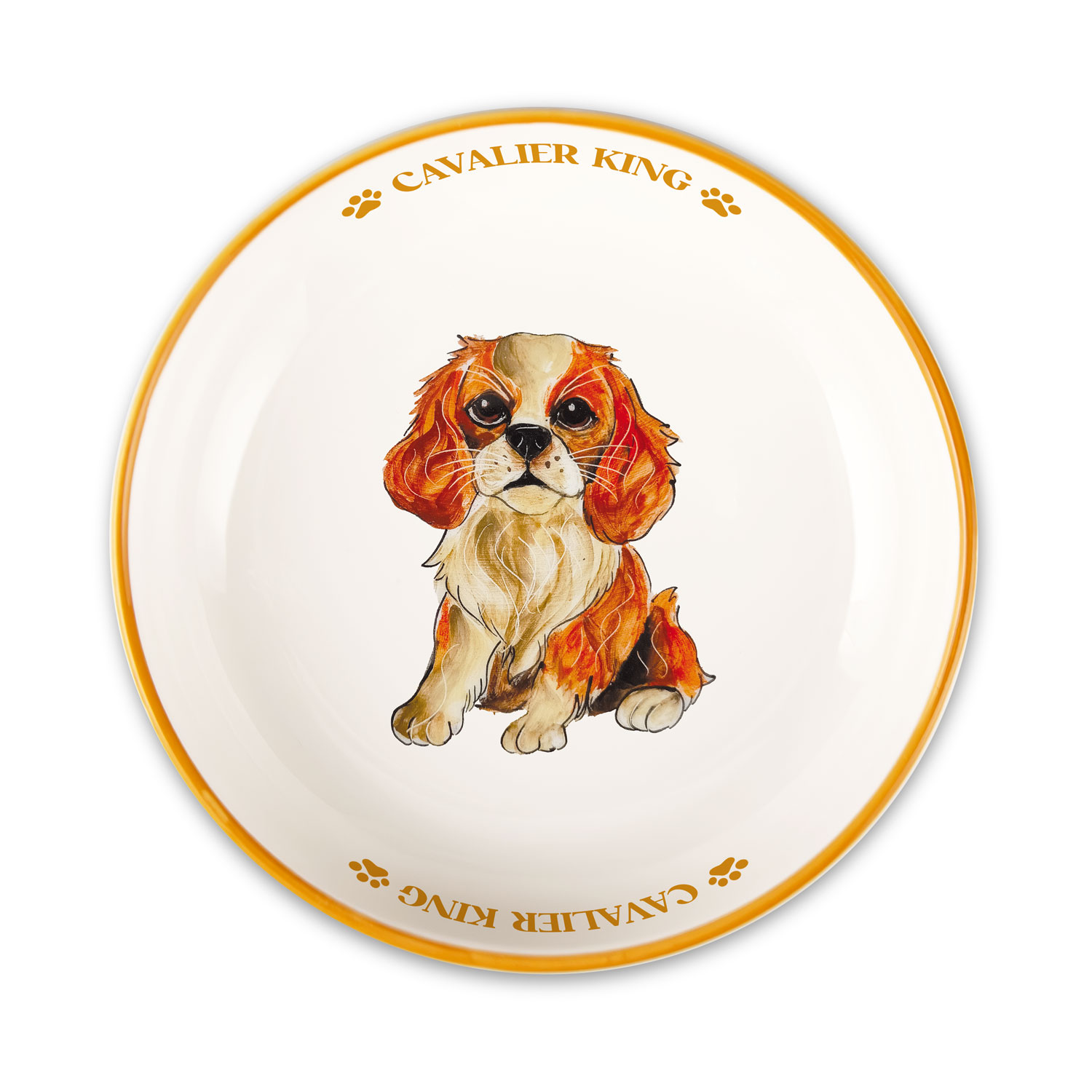 Ciotola media Cavalier King Charles Spaniel
