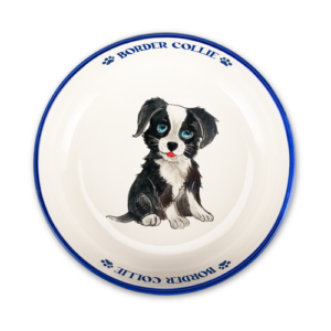Ciotola media Border Collie