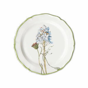 Piatto frutta Plumbago