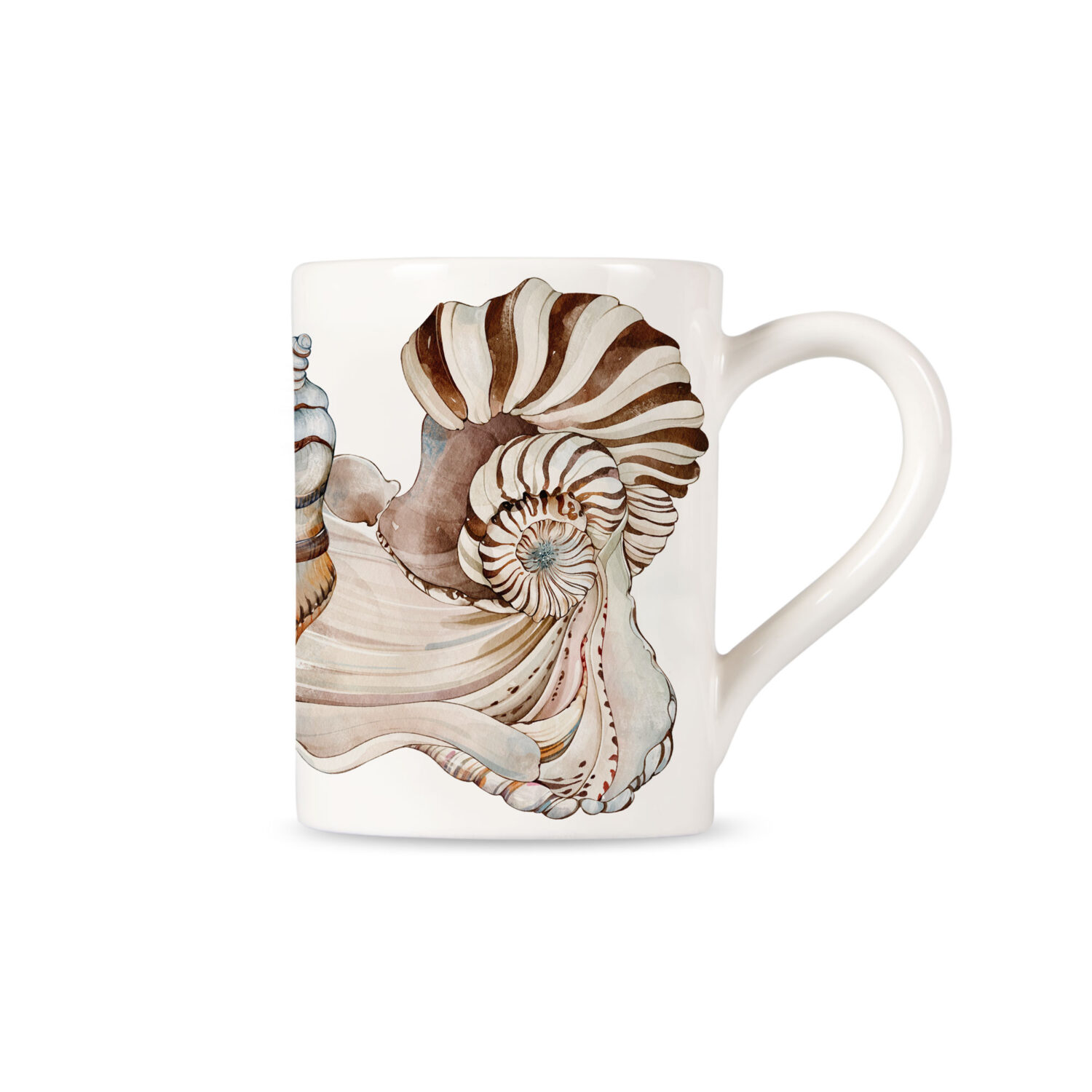 Tazza decoro Seashells