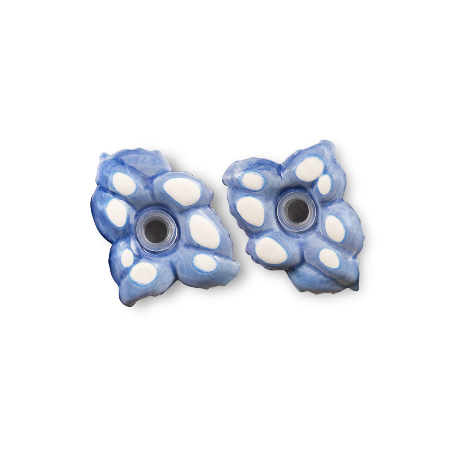 Sale e Pepe polpo blu